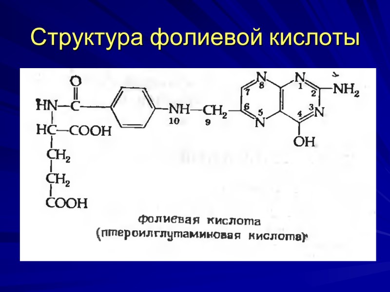 Структура фолиевой кислоты Структура фолиевой кислоты